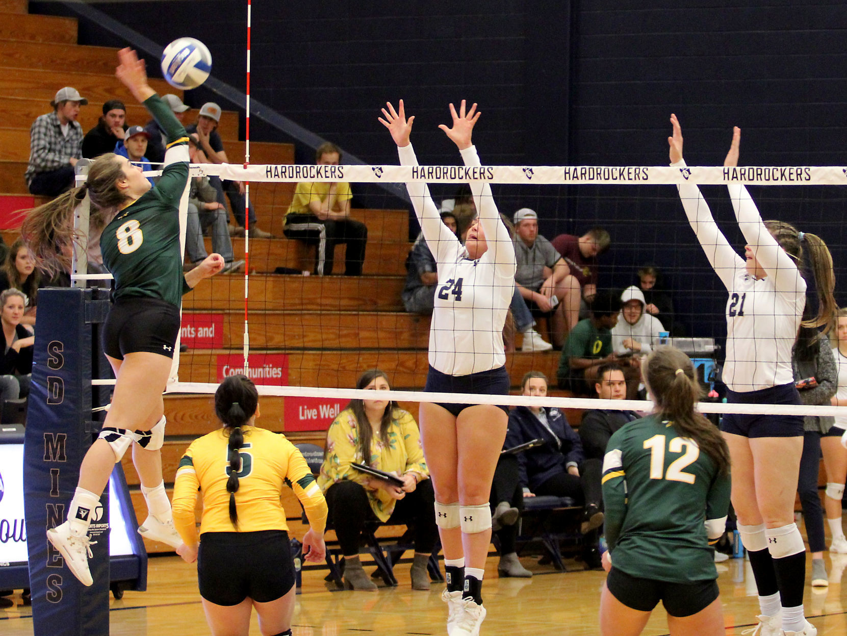 Volleyball 15.jpg